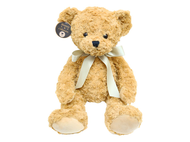 Teddy Bear n Doll - Barnes & Coleman Classic Light brownTeddy Bear - L9857 Photo