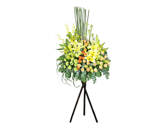 开张花篮 - 缤纷开张花篮 MD33 - L9915A Photo