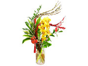 /zh-hans/s/product_short/CFA0117A1