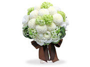 /zh-hans/s/product_short/L76600806